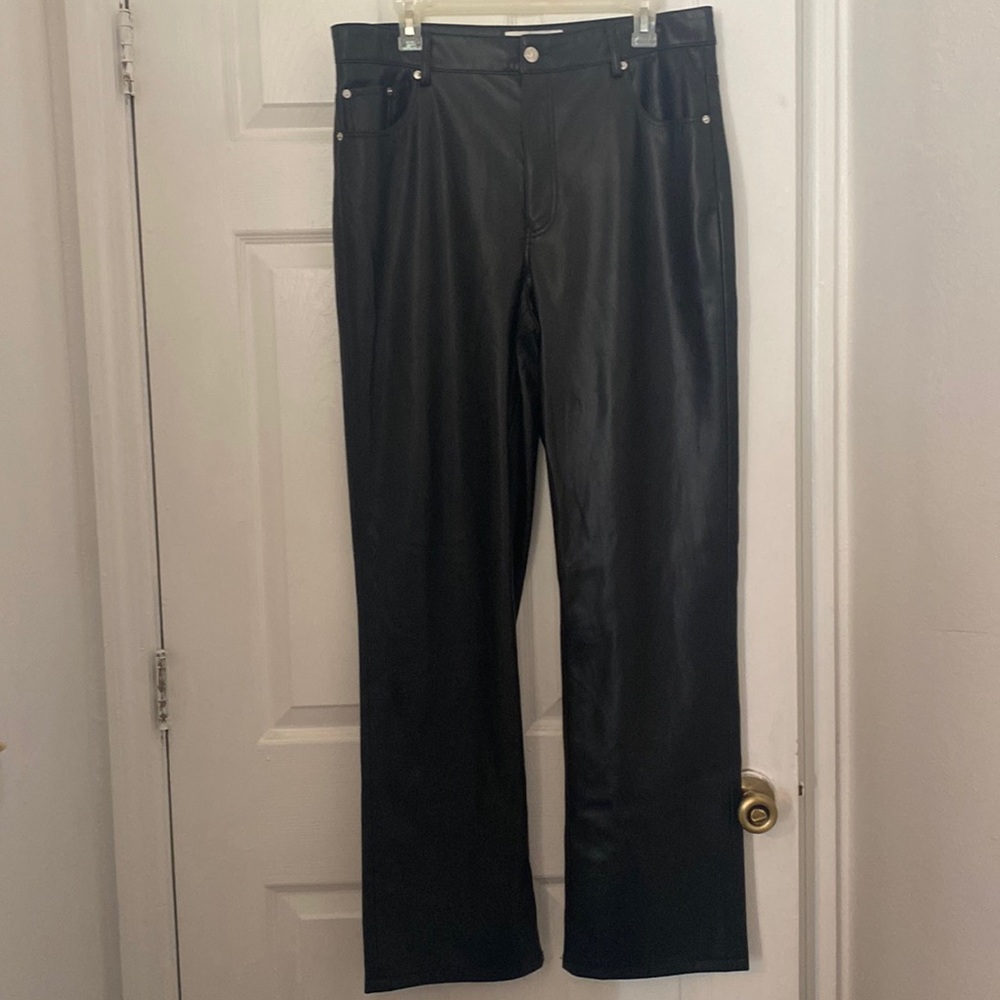 Zara Pleather Pants